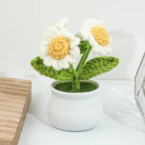 Blingcute | Crochet Daisy Potted Plant | Home Decor