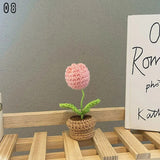 Blingcute | Crochet Potted Plant | Home Decor