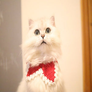 Blingcute | Star-Shape Knitted Collar | Crochet Pet Collar - Blingcute