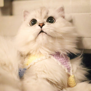 Blingcute | Cat Collar | Crochet Pet Collar - Blingcute