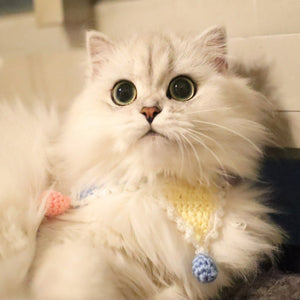 Blingcute | Cat Collar | Crochet Pet Collar - Blingcute