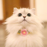 Blingcute | Flower Cat Collar | Crochet Pet Collar - Blingcute