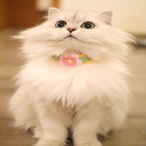 Blingcute | Flower Cat Collar | Crochet Pet Collar - Blingcute