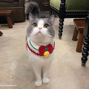 Blingcute | Christmas Gifts | Crochet Pet Collar - Blingcute