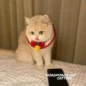 Blingcute | Christmas Gifts | Crochet Pet Collar - Blingcute