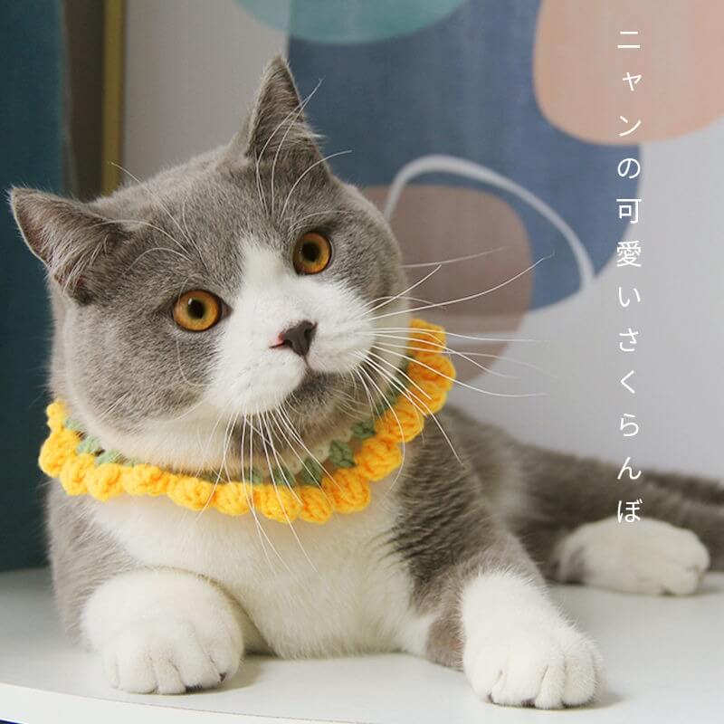 Blingcute | Colorful Collars | Crochet  Collar for Pet - Blingcute